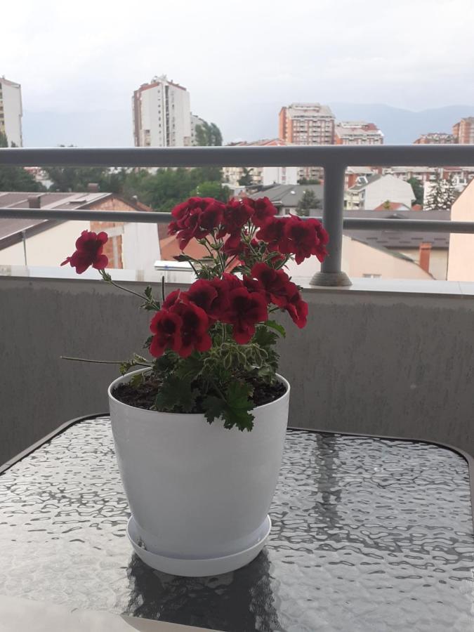 Ballet Apartament Skopje Extérieur photo